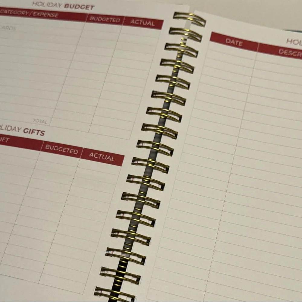 Clever Fox Budget Planner & Monthly Bill Organizer Expense Tracker Teal Green